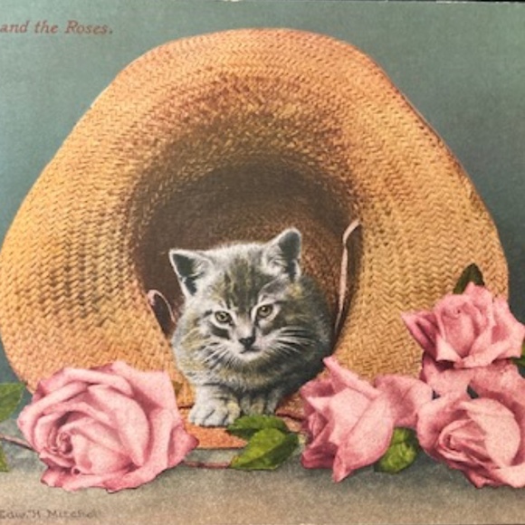 ~Welcome to my Closet~ - Picture 10 of 15